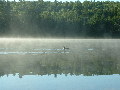 2005_0903_070104AA.jpg