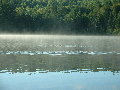 2005_0903_070111AA.jpg
