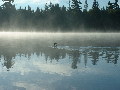 2005_0903_070304AA.jpg