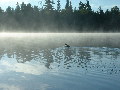2005_0903_070314AA.jpg