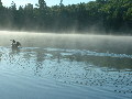 2005_0903_070318AA.jpg