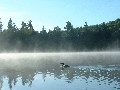 2005_0903_070325AA.jpg