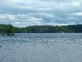 2004_0812_132345AA.jpg