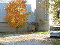 2004_1013_142653AA.jpg