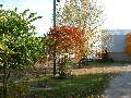 2004_1013_142704AA.jpg