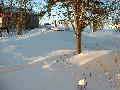 2003_0212_075143AA.jpg