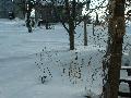 2003_0212_155907AA.jpg